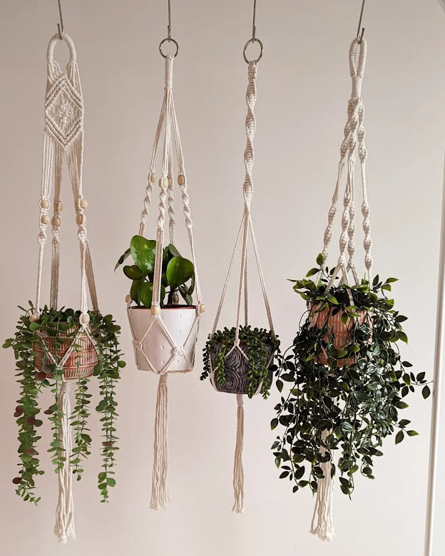 Chunky Macrame Plant Hangers