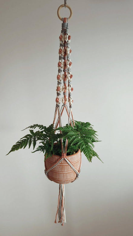 Daisy Plant Hangers 🌸